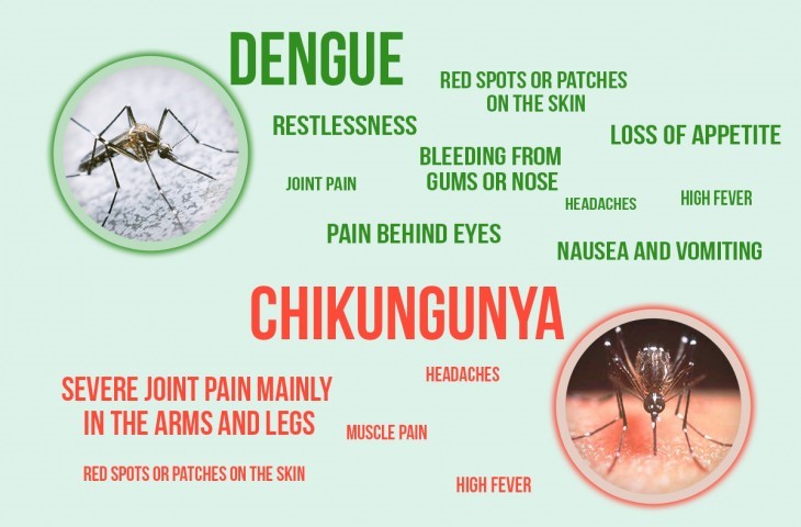Dangerous Diseases Caused By Mosquito Bite