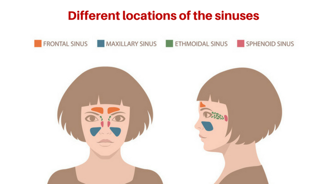 Sinus Disease - Causes, Symptoms & Treatment